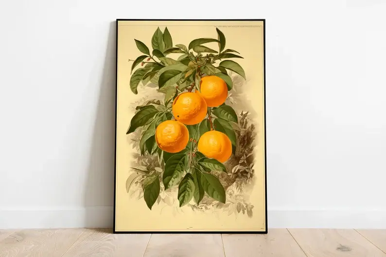 Vintage Orange Bild