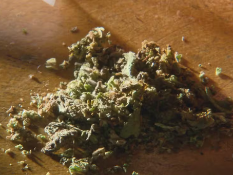 Após STF descriminalizar o porte de maconha, CNJ planeja mutirão para revisar prisões