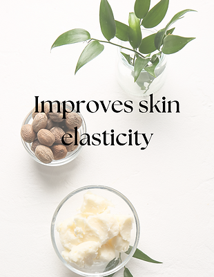 Improve Skin Elasticity with Shea Butter.png