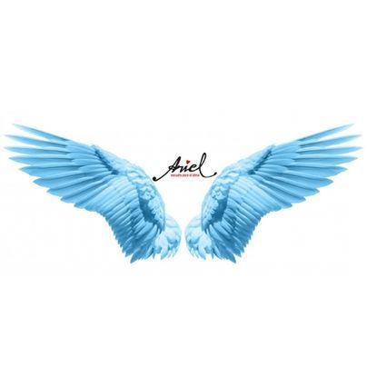 Ariel.jpg