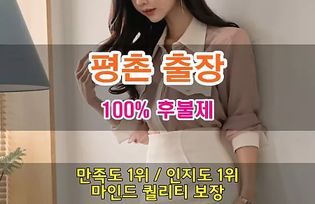 평촌출장안마&평촌출장마사지.webp