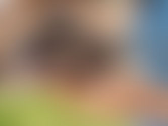 Passport Renewal | USA Passport Application | US Passport Application | Apply US Passport | Apply USA Passport | Renew My Passport | Renew Passport | Apply For Passport | Replace Lost Passport | Replace Stolen Passport | Travel State Passport | US Passport Requirements | Online Passport Application USA | American Passport Application Online