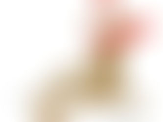 さる年くる