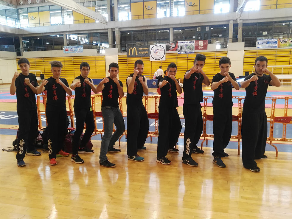 Open nacional de combate 4-2017