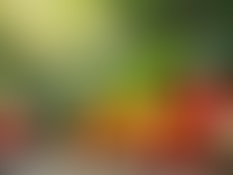 Discover Effective Cleanses for Better Wellness