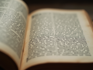 Benefits of Reading Commentaria in Scripturam Sacram