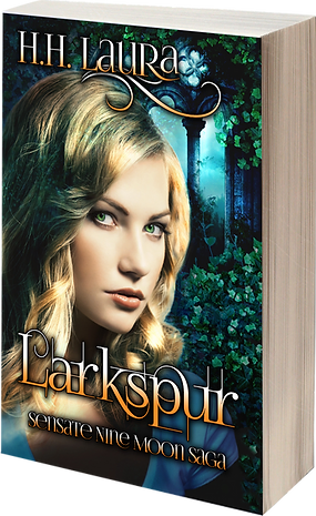 More Books by H.H. Laura