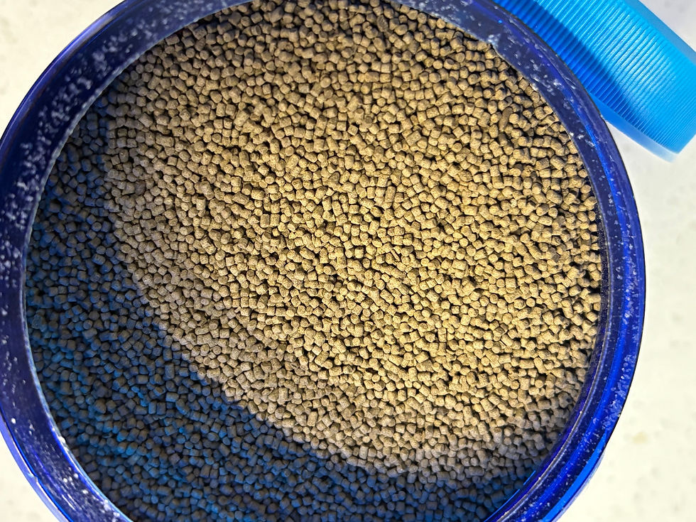 New Life Spectrum - Marine (300g)