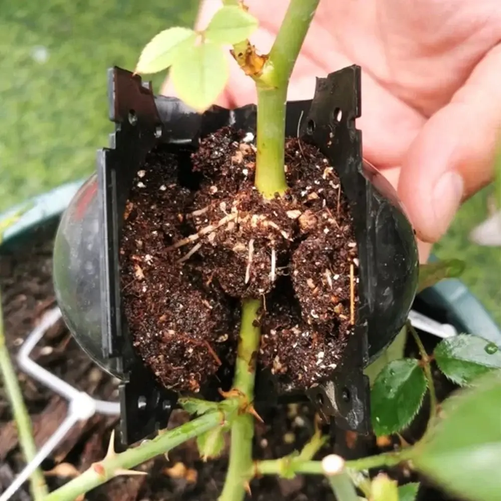 Air Layering Rooting Ball Pods