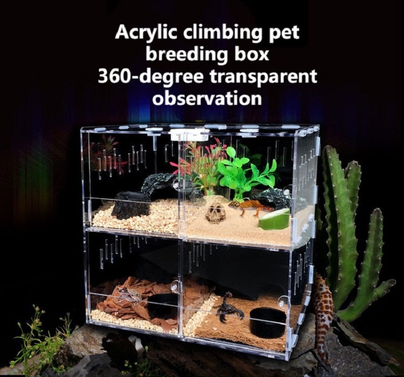 Thumbnail: Magnetic Acrylic Reptile Container — 360°