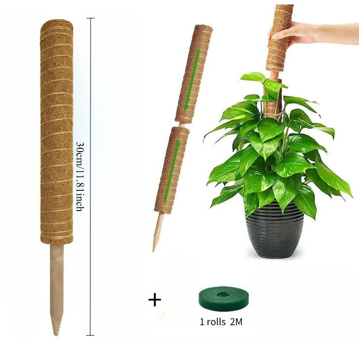 Bendable Moss Pole — Flexible Natural Wood Climbing Support for Monsteras, Palms