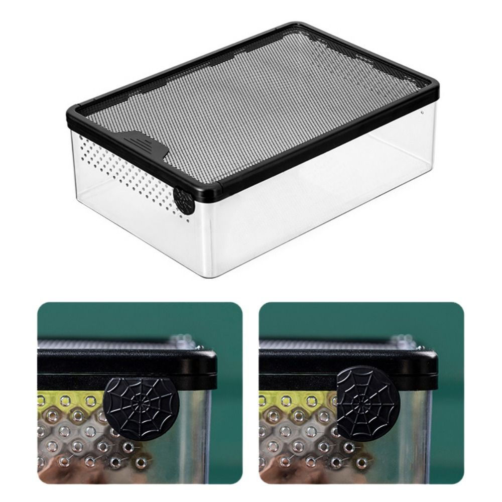 Magnetic Acrylic Reptile Container — 360° Transparent