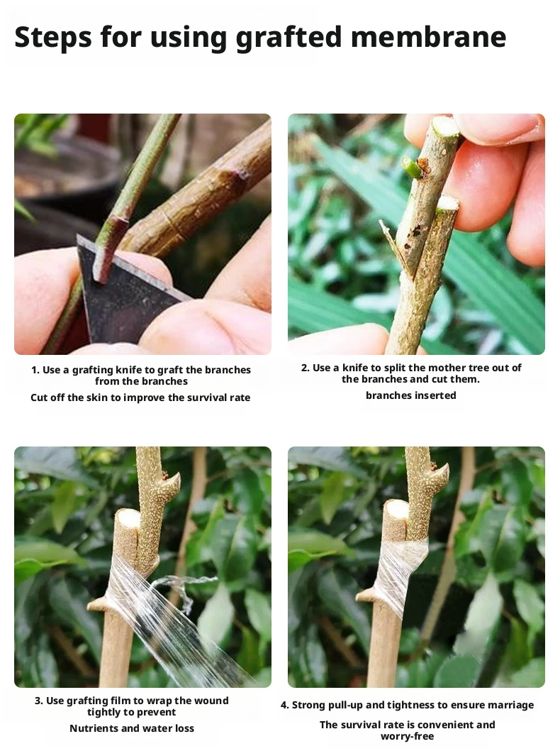200M PE Grafting Tape Film Self-adhesive for Fruit Tree Nursery Plants Seedlings