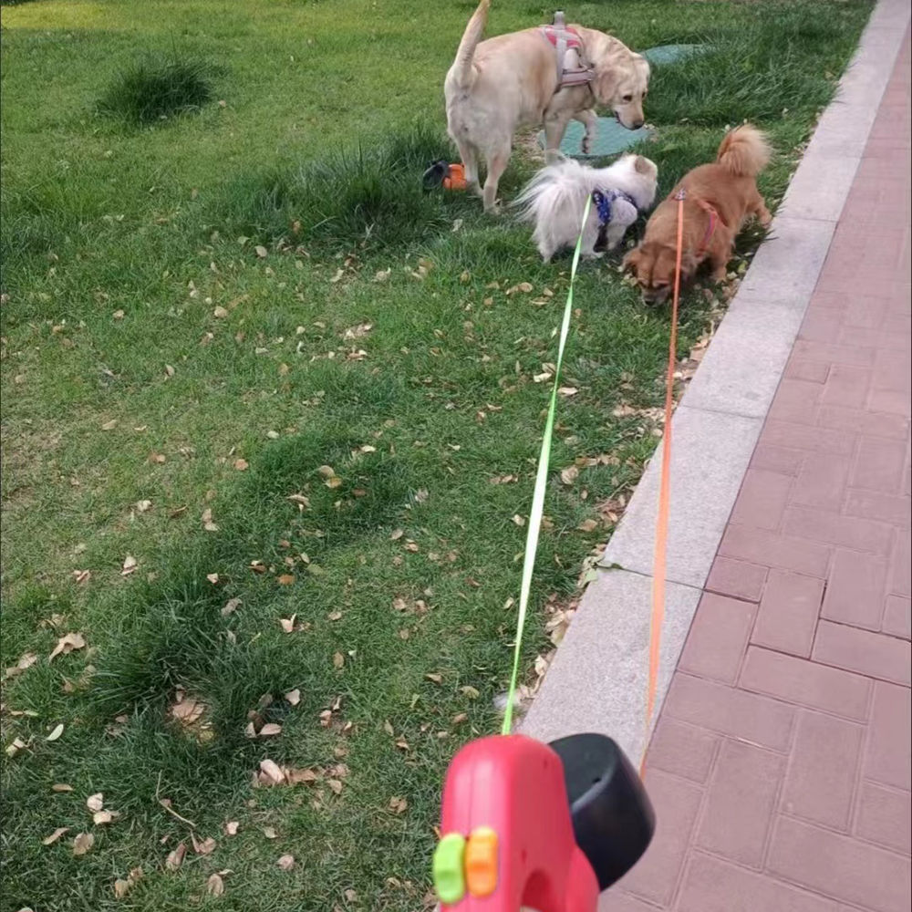 Dual Dog Lead — Retractable Double Lead with LED Light & Reflective Strip