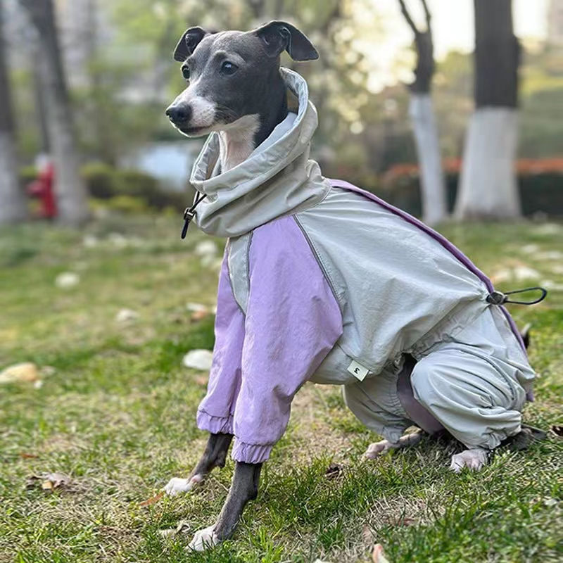 Waterproof Raincoat for Italian Greyhounds & Whippets