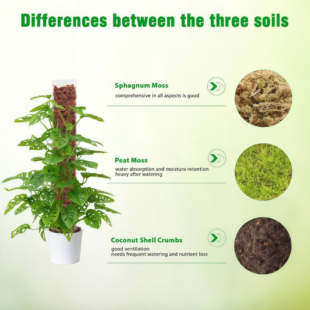 Transparent PVC Moss Pole