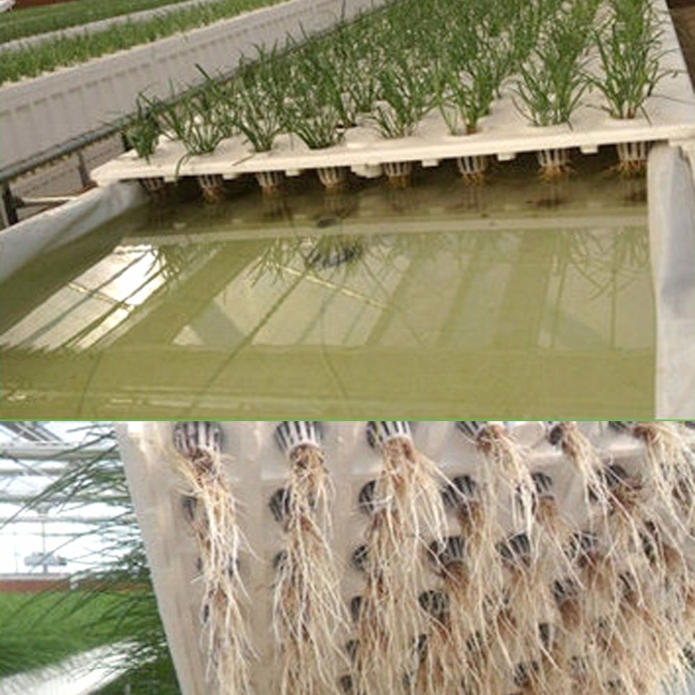 Plant Net Cups & Sponge Cylinders Set | Hydroponic Growing Kit 50pcs