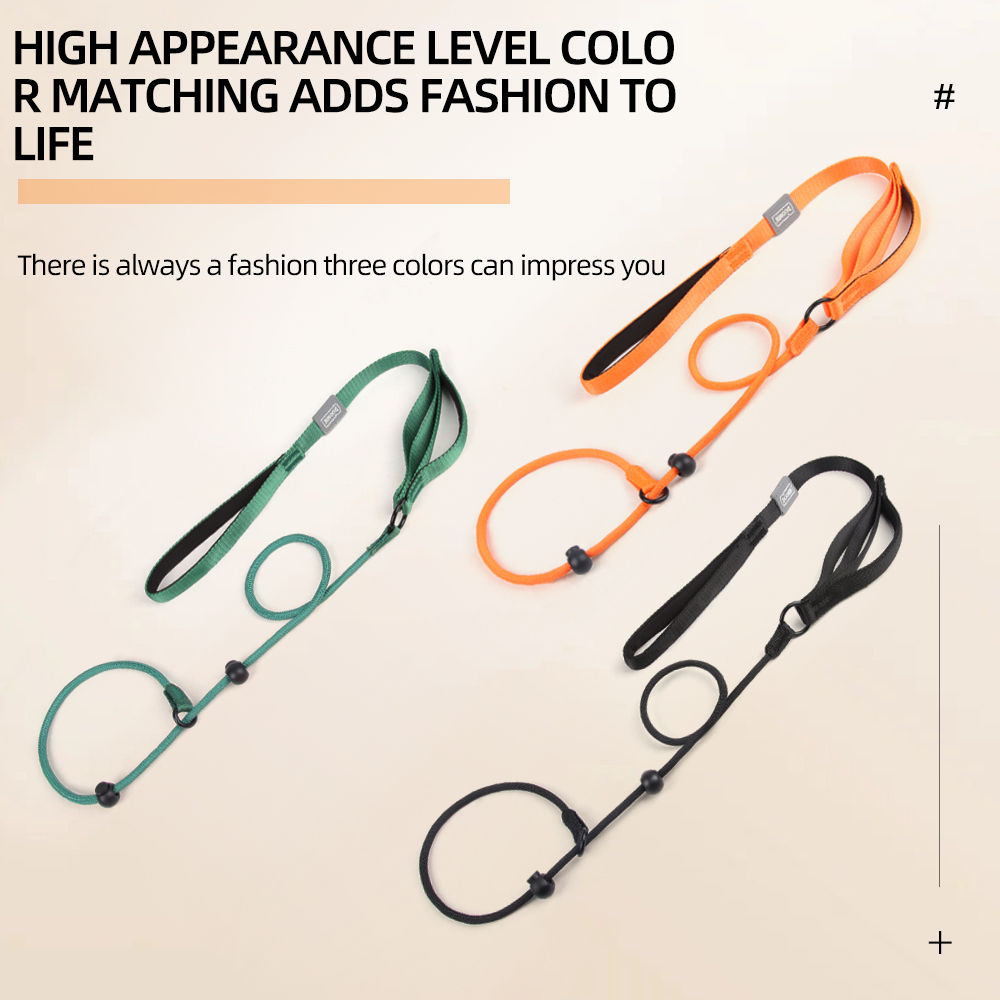 Adjustable All-in-One Anti-Pull Dog Leash