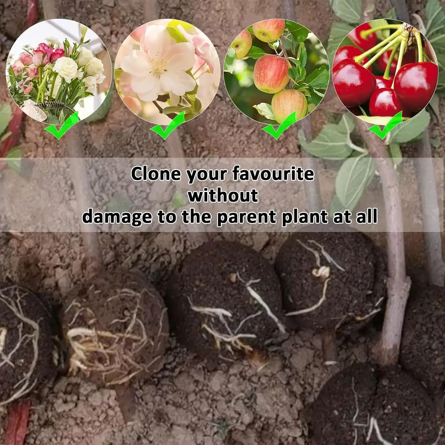 Air Layering Rooting Ball Pods