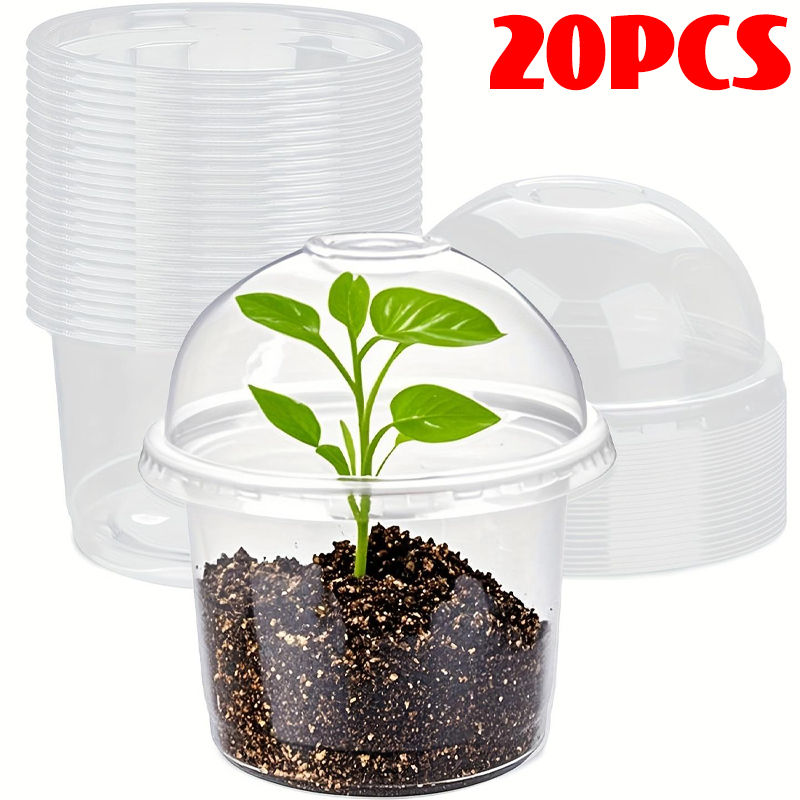 Clear Nursery Seedling Cups with Lids