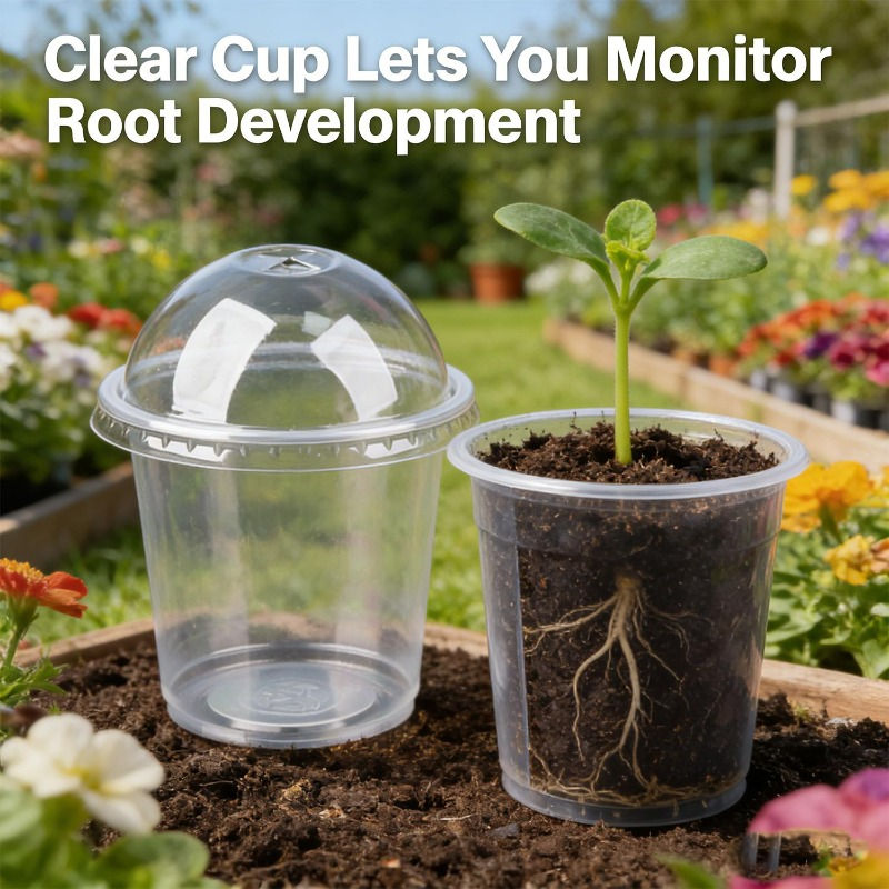 Clear Nursery Seedling Cups with Lids