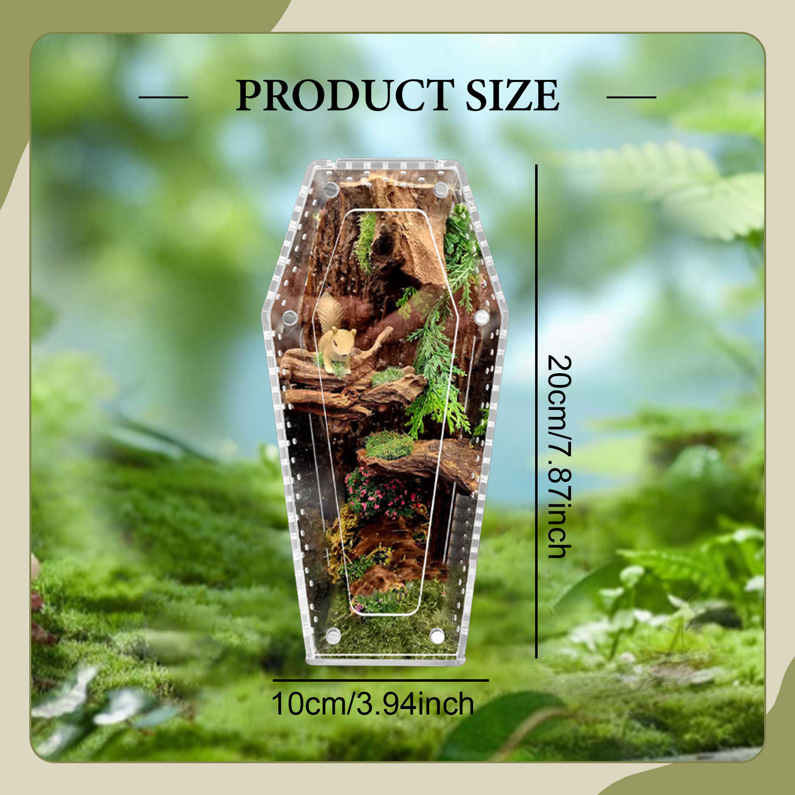Transparent acrylic spider cage with ventilation Reptile pet insect amphibian ha