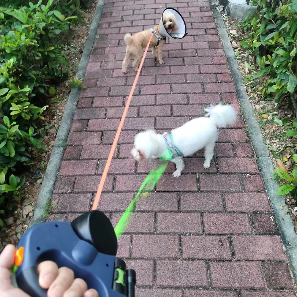 Dual Dog Lead — Retractable Double Lead with LED Light & Reflective Strip