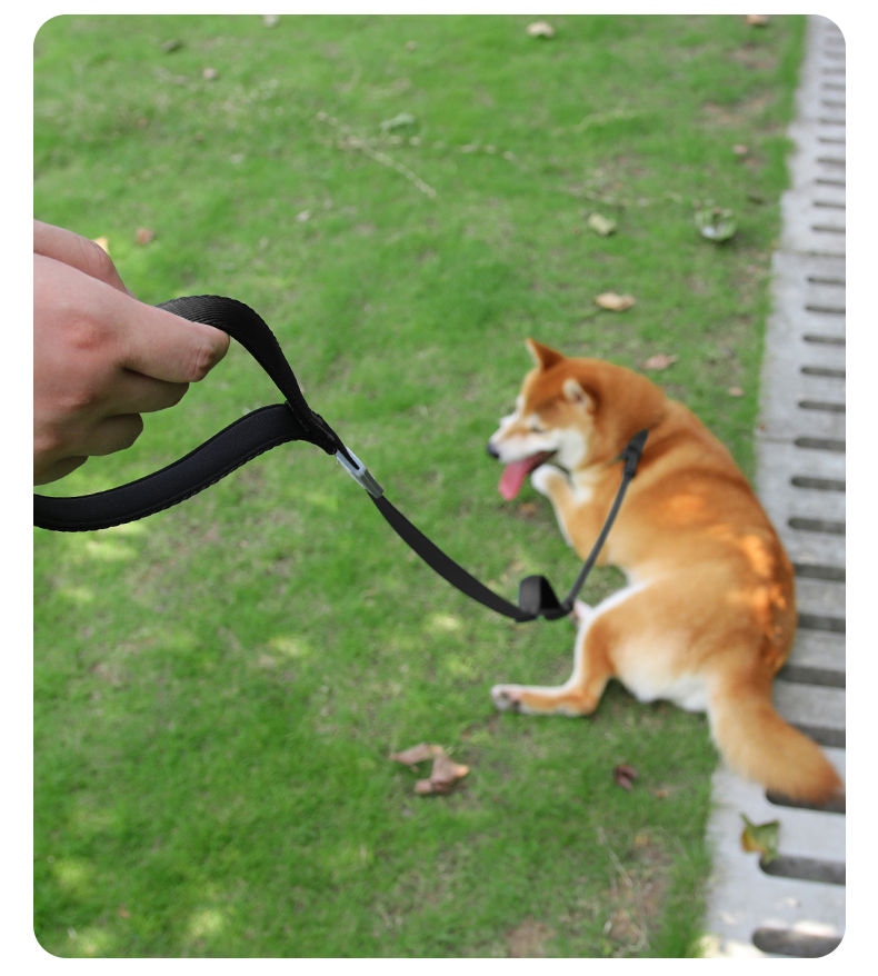Thumbnail: Adjustable All-in-One Anti-Pull Dog Leash