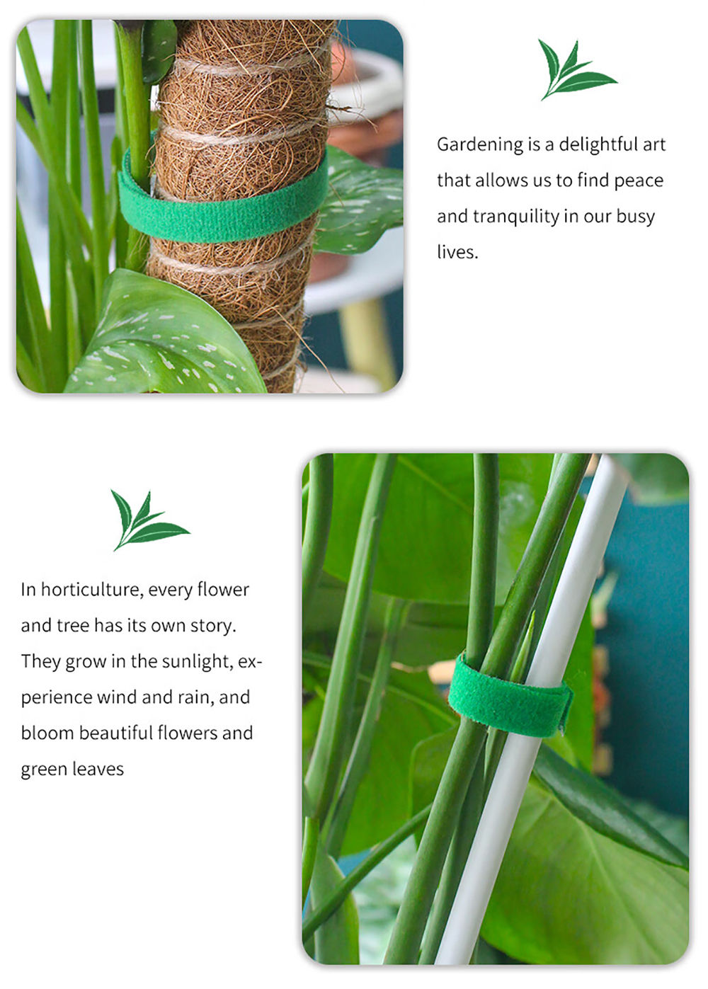 Reusable Plant Tie Tape — Adjustable Hook & Loop Garden Ties for Indoor/Outdoor