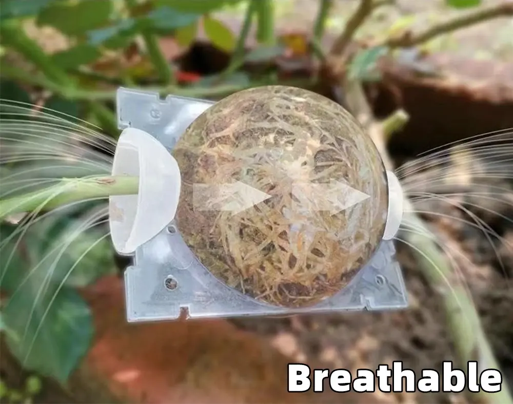 Air Layering Rooting Ball Pods