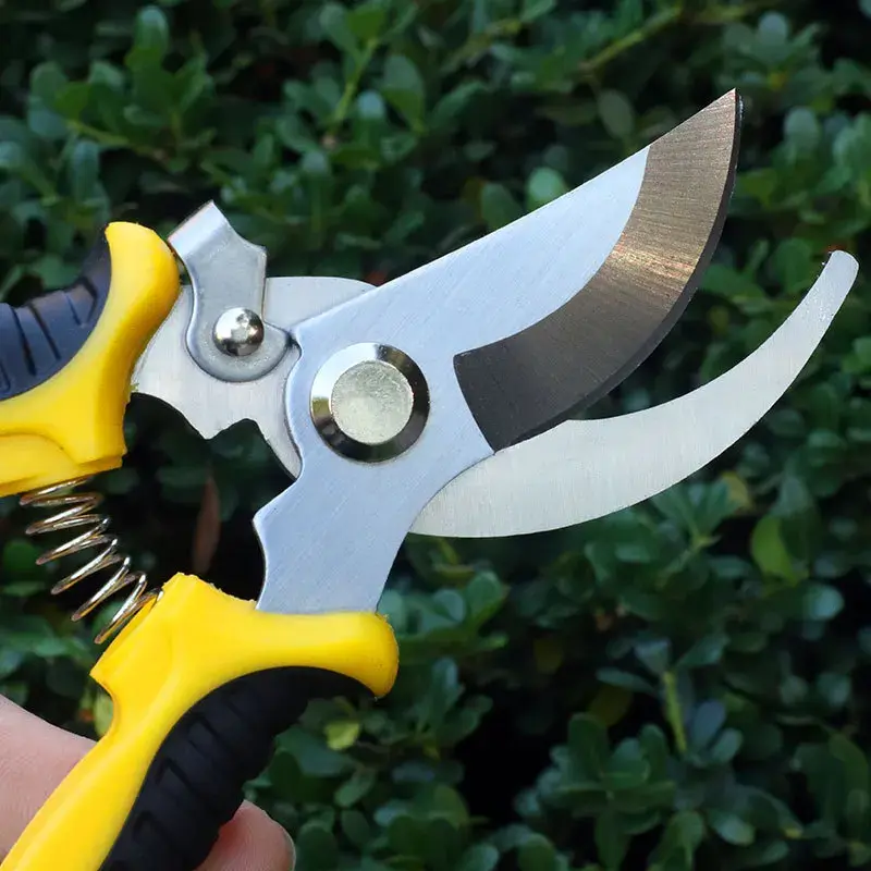 Professional Stainless Steel Gardening Shears