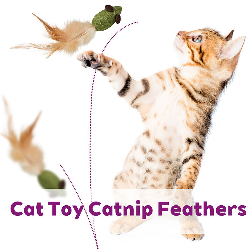 Mouse-Shaped Interactive Cat Toy for Chasing, Licking & Solo Play