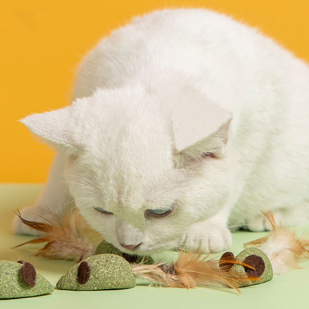 Mouse-Shaped Interactive Cat Toy for Chasing, Licking & Solo Play