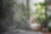 1670967-plants-interior-design-indoor-garden.jpg