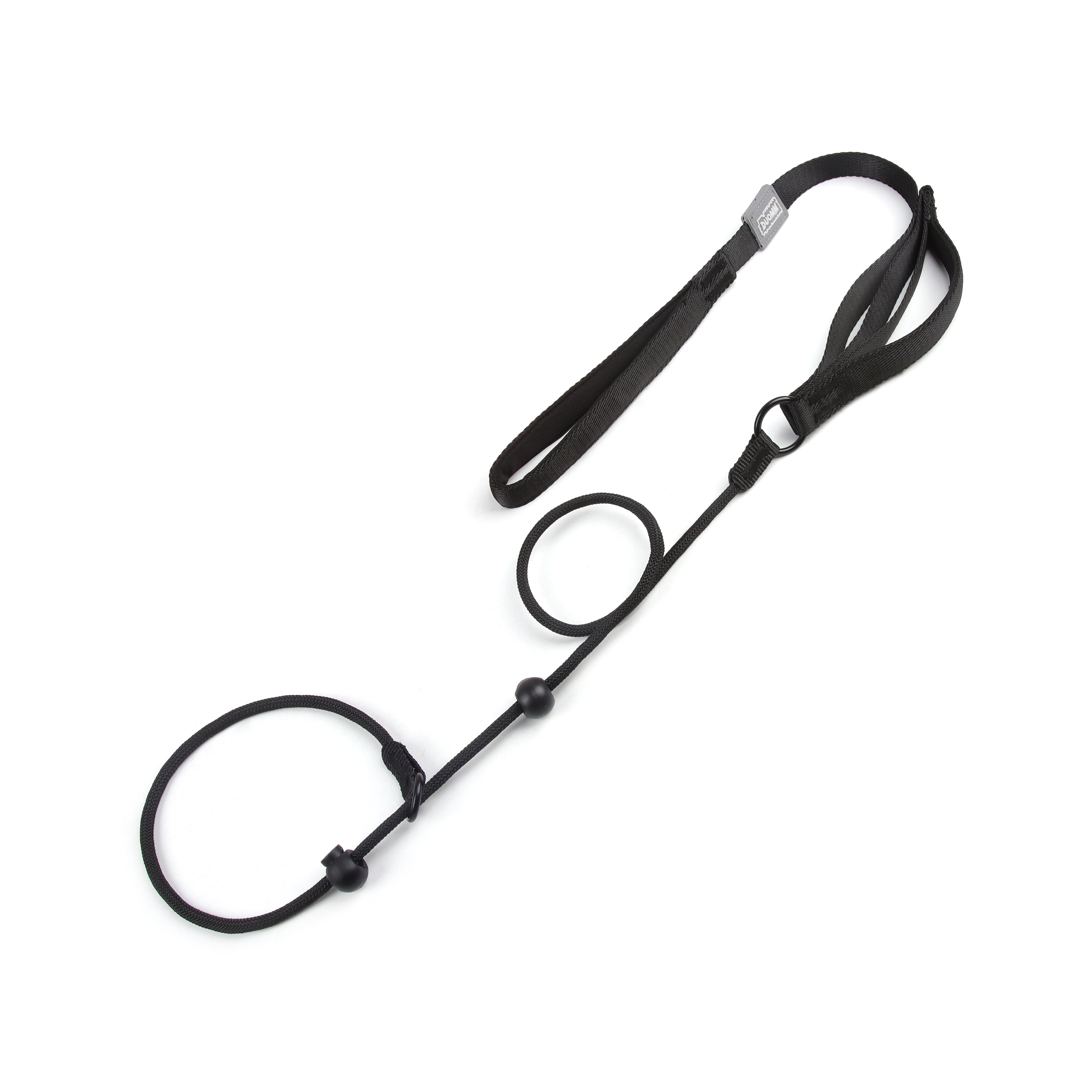 Adjustable All-in-One Anti-Pull Dog Leash