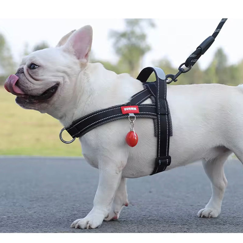 Thumbnail: Padded Vest Dog Harness