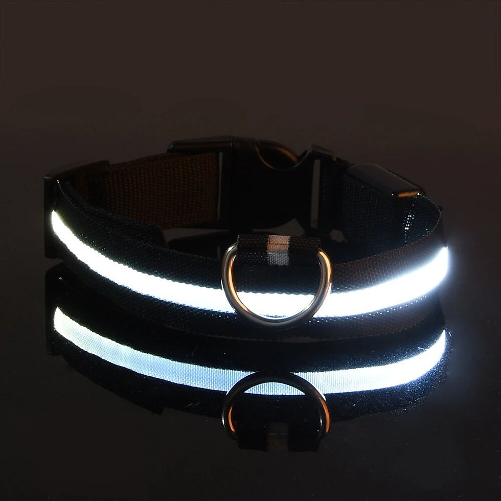 Thumbnail: LED Glow-in-the-Dark Dog Lead — Flashing Luminous Lead for Night Safety Walks