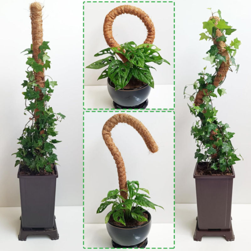 Bendable Moss Pole — Flexible Natural Wood Climbing Support for Monsteras, Palms