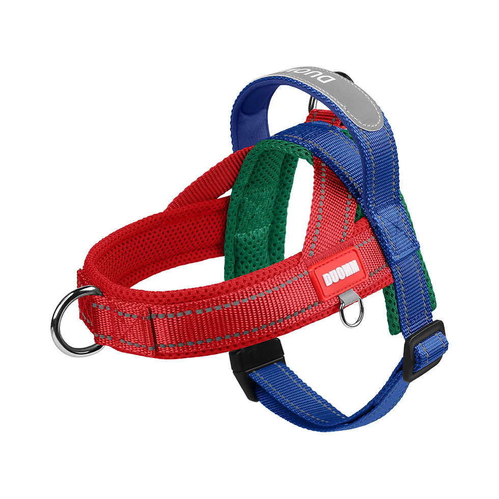 Thumbnail: Padded Vest Dog Harness