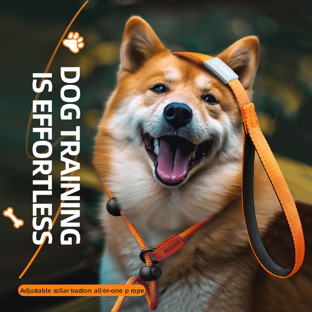 Adjustable All-in-One Anti-Pull Dog Leash