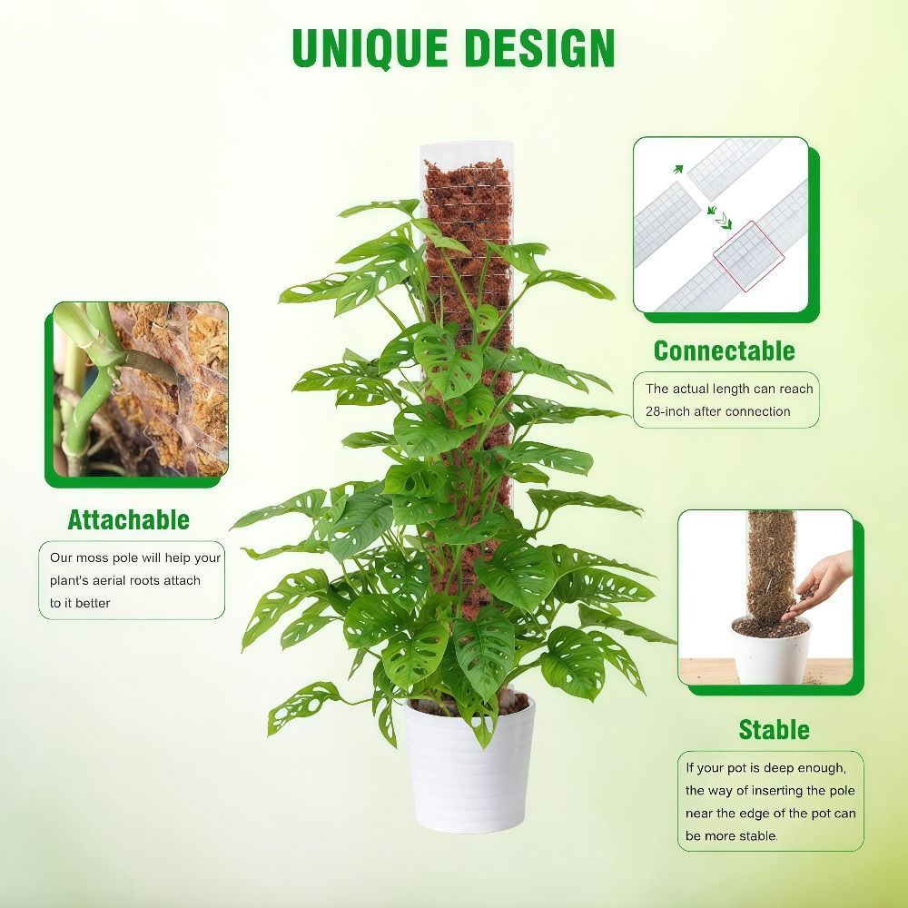 Transparent PVC Moss Pole
