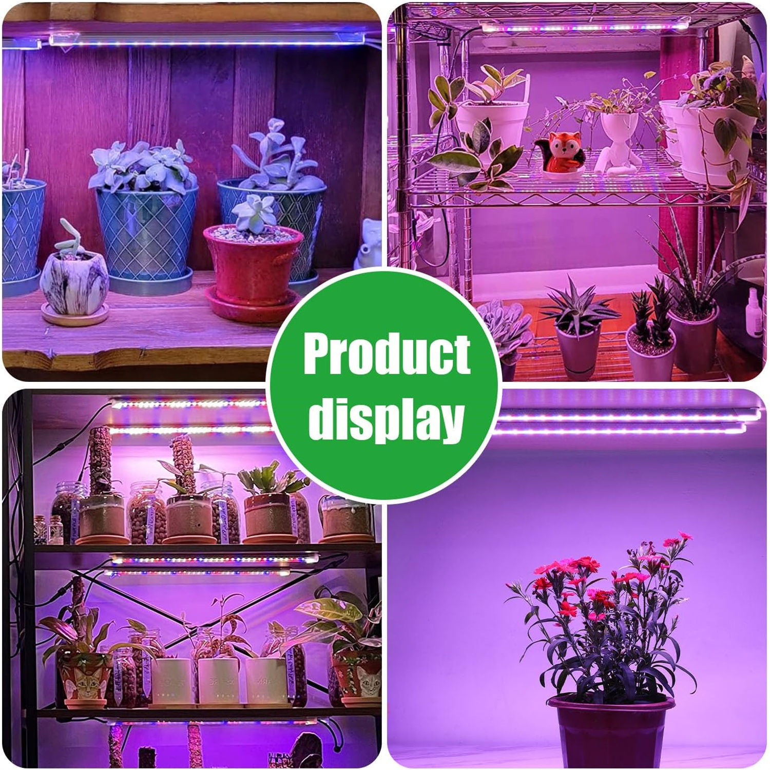 3-Color USB LED Grow Light | Phyto Light for Seedlings & Houseplants