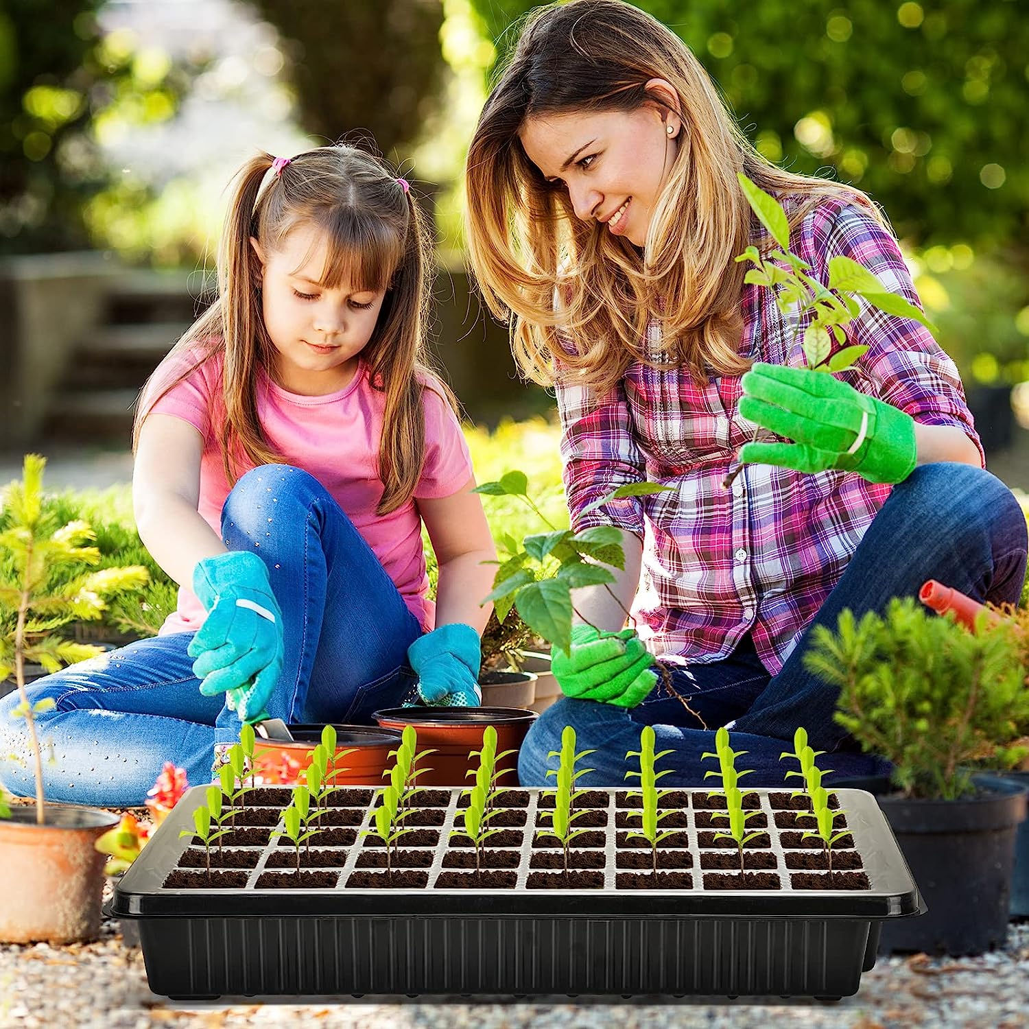 Cell Seed Starter Kit with 2 LED Grow Light Strips