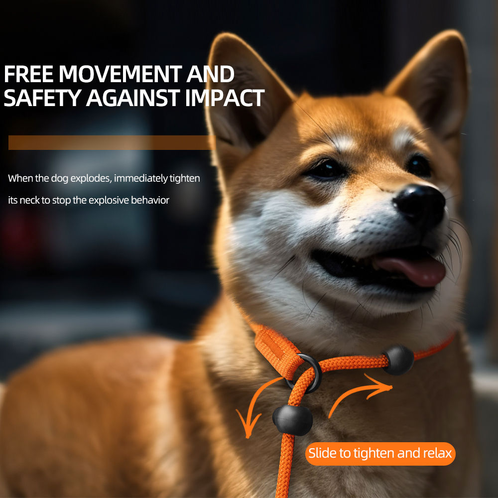 Adjustable All-in-One Anti-Pull Dog Leash