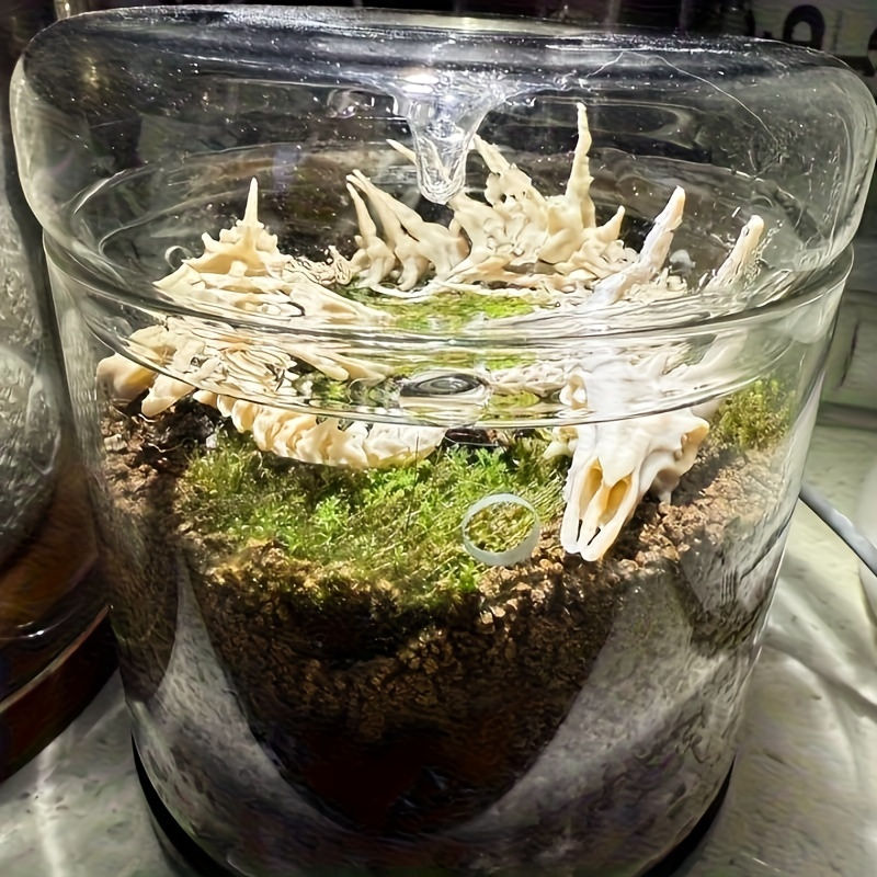 Articulated Dragon Skeleton Aquarium Ornament