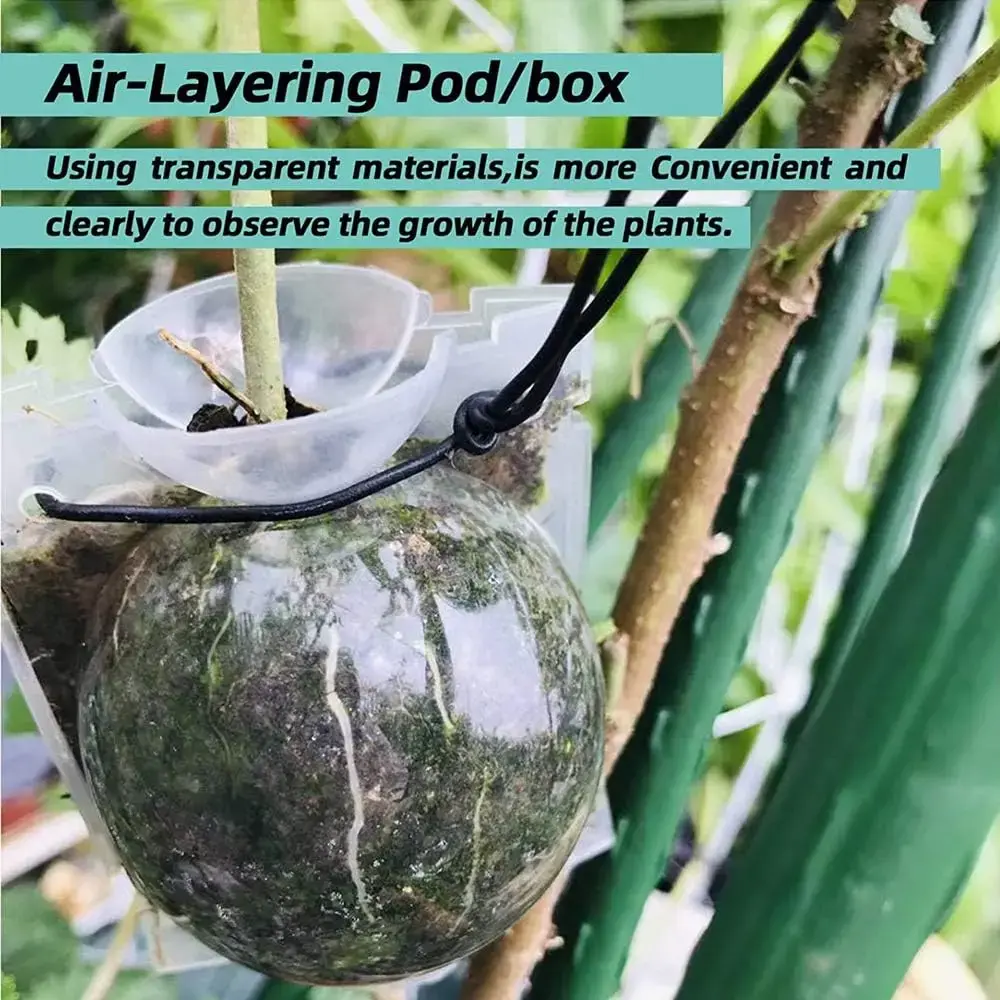 Air Layering Rooting Ball Pods