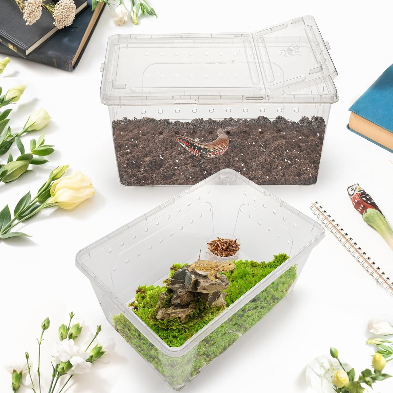 Animal Breeding Box | Transparent Plastic Habitat with Ventilation Cover