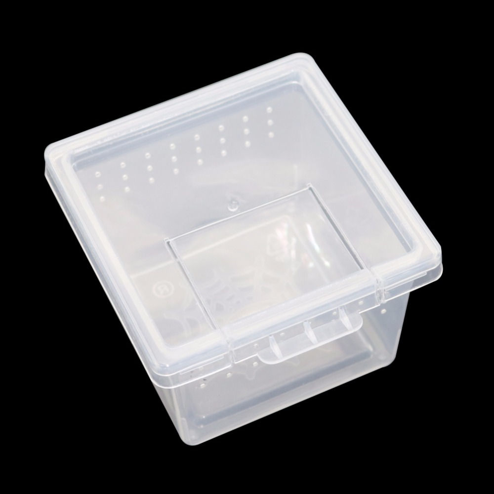 Mini Transparent Reptile Living Box — 360° Clear ABS Habitat