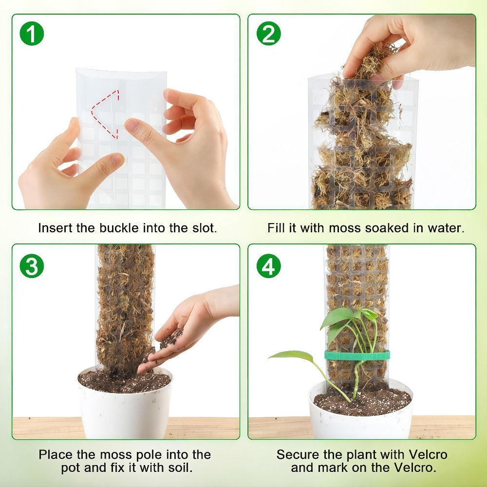 Transparent PVC Moss Pole