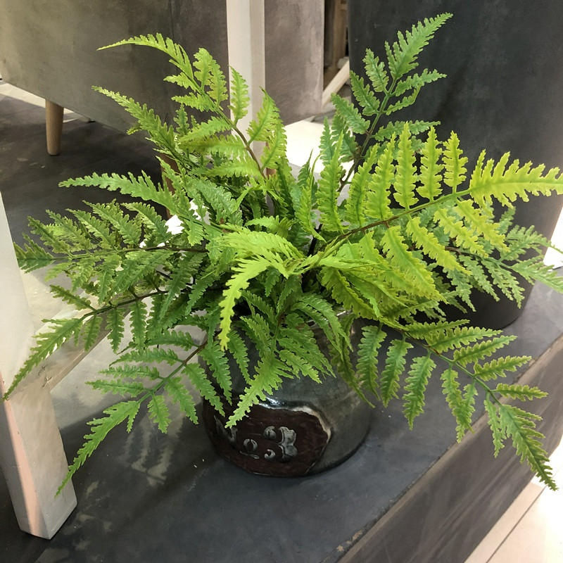 Realistic Greenery for Home, Bedroom & Party Decoration